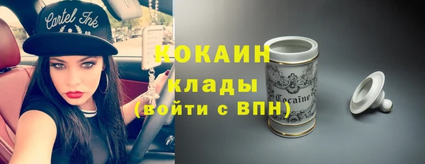 кокс Алексин