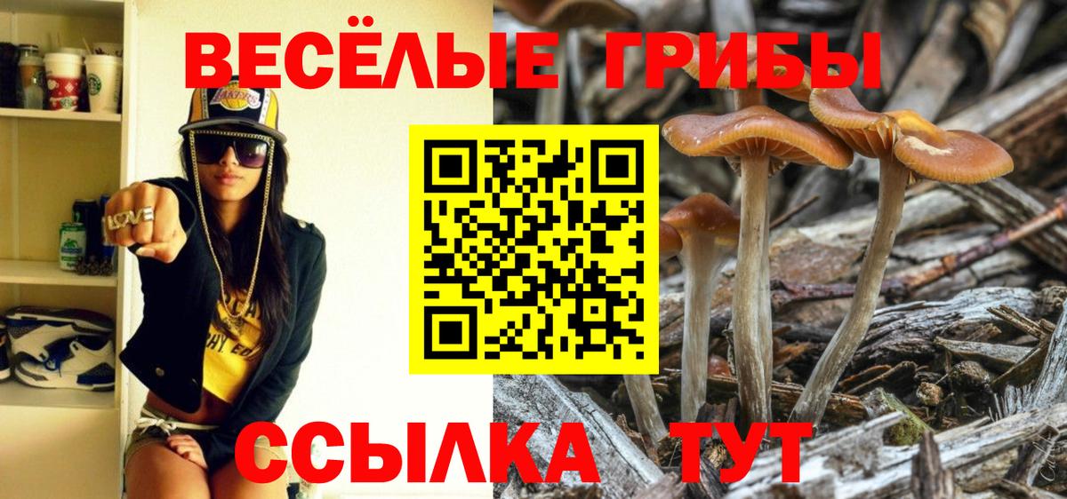 Псилоцибиновые грибы мицелий  Псилоцибиновые грибы Psilocybe  Кострома  Вход с VPN 