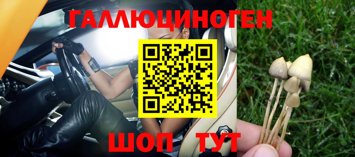 Псилоцибиновые грибы Cubensis Кострома